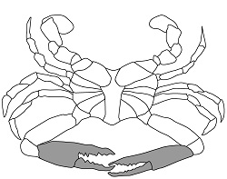 Cocktail Claws, (12) 12oz Tubs