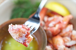 Lobster Meat CK, (6) 16oz Plastic